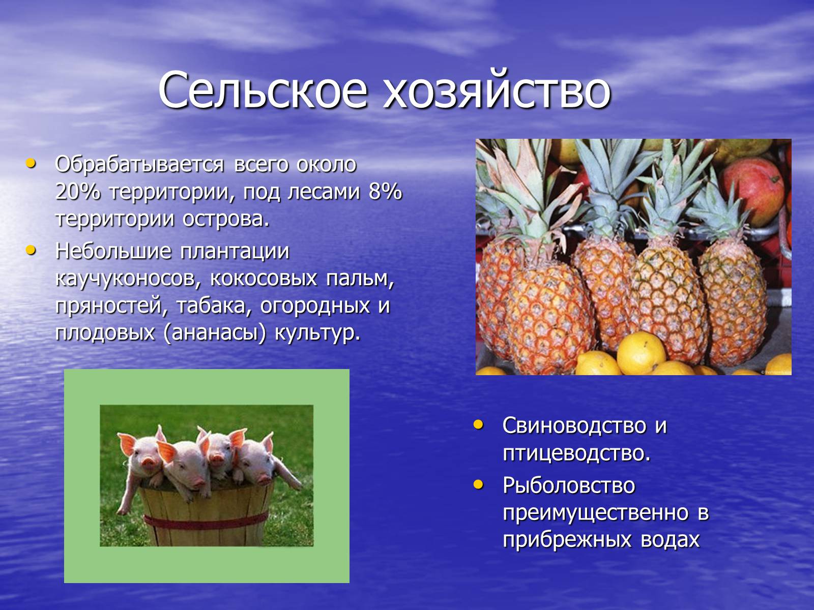 Презентація на тему «Сингапур» (варіант 1) - Слайд #13 Презентація на тему «Сингапур» (варіант 1) - Слайд #13
