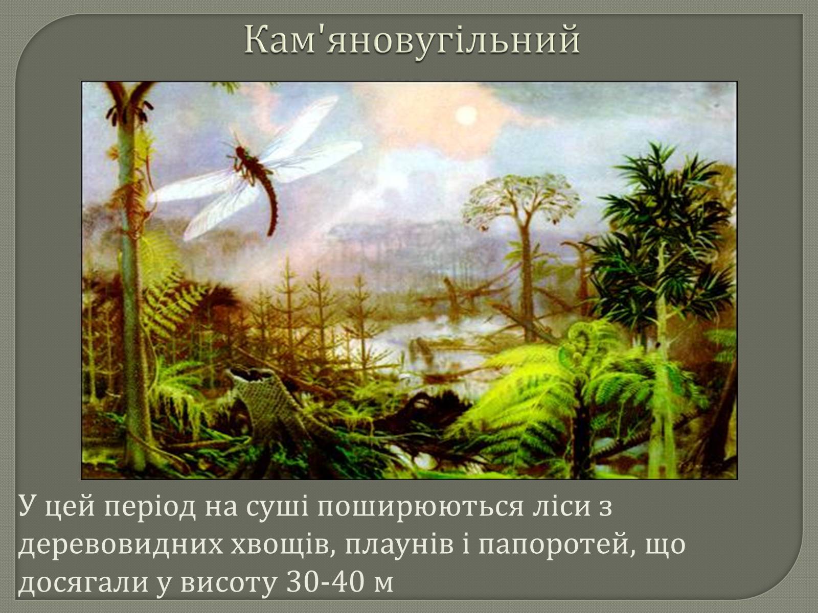 Презентація на тему «Палеозойська Ера» (варіант 1) - Слайд #10 Презентація на тему «Палеозойська Ера» (варіант 1) - Слайд #10