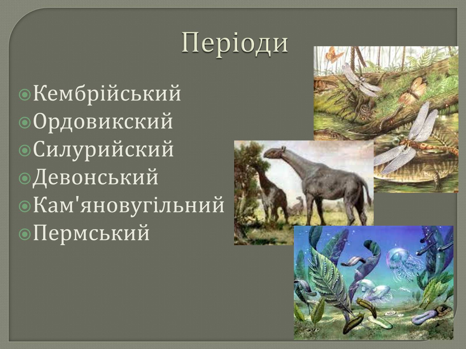 Презентація на тему «Палеозойська Ера» (варіант 1) - Слайд #4 Презентація на тему «Палеозойська Ера» (варіант 1) - Слайд #4