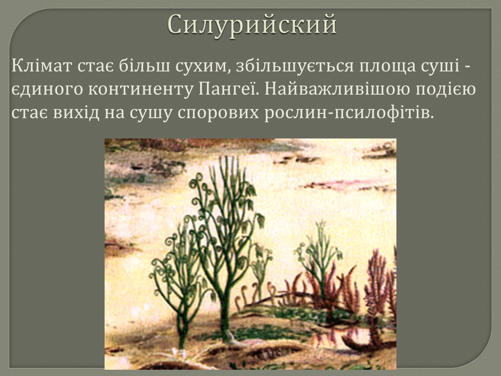 Презентація на тему «Палеозойська Ера» (варіант 1) - Слайд #6 Презентація на тему «Палеозойська Ера» (варіант 1) - Слайд #6