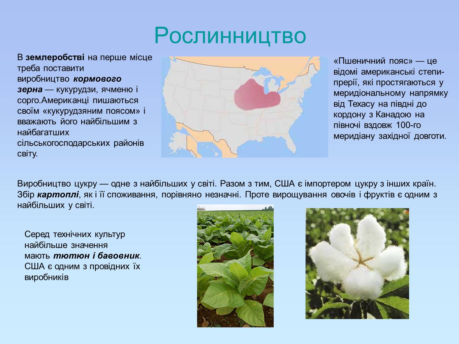 Презентація на тему «Географія США» - Слайд #30 Презентація на тему «Географія США» - Слайд #30