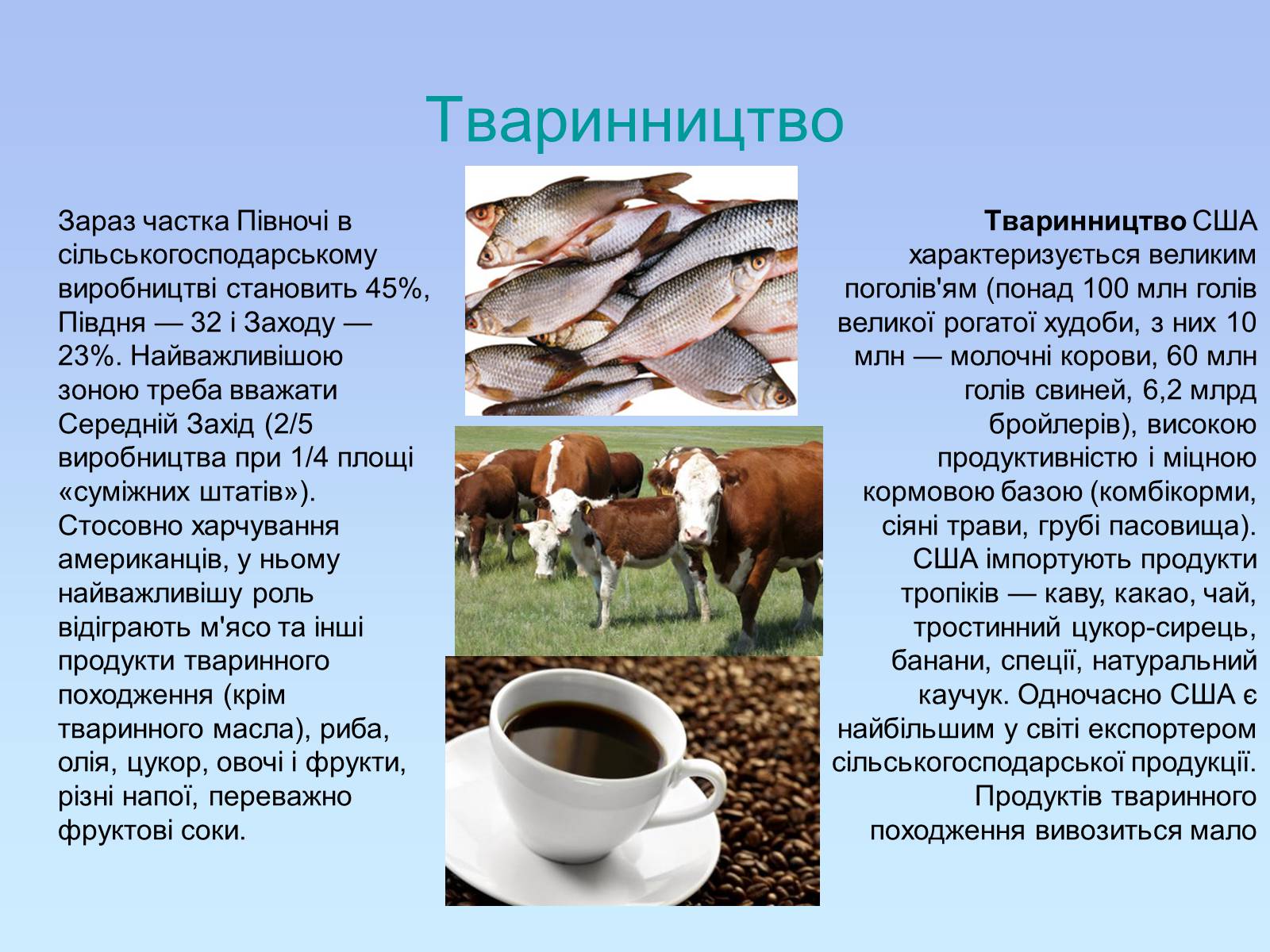 Презентація на тему «Географія США» - Слайд #31 Презентація на тему «Географія США» - Слайд #31