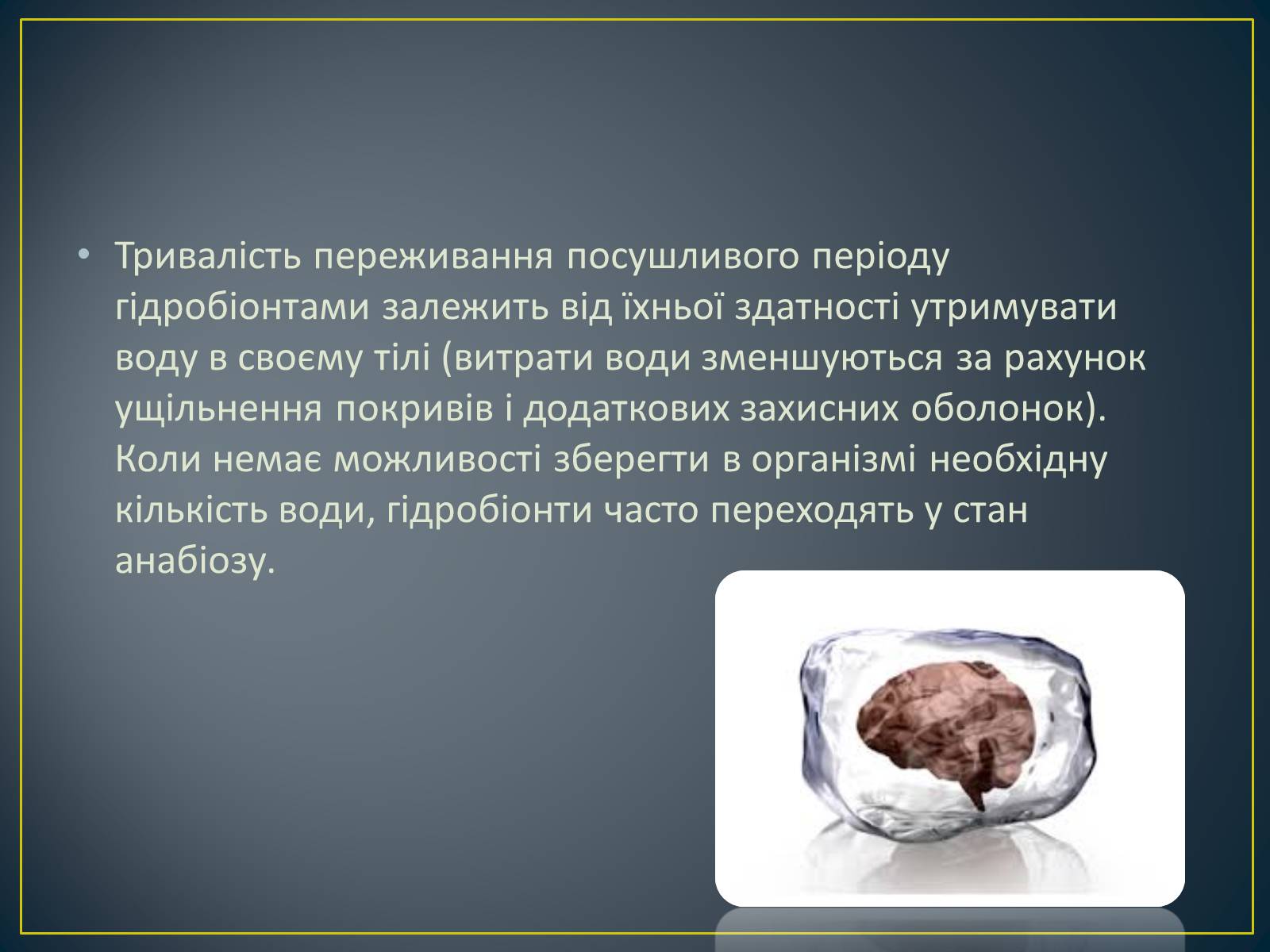 Презентація на тему «Адаптація гідробіонтів до пересихання вдойм» - Слайд #15 Презентація на тему «Адаптація гідробіонтів до пересихання вдойм» - Слайд #15