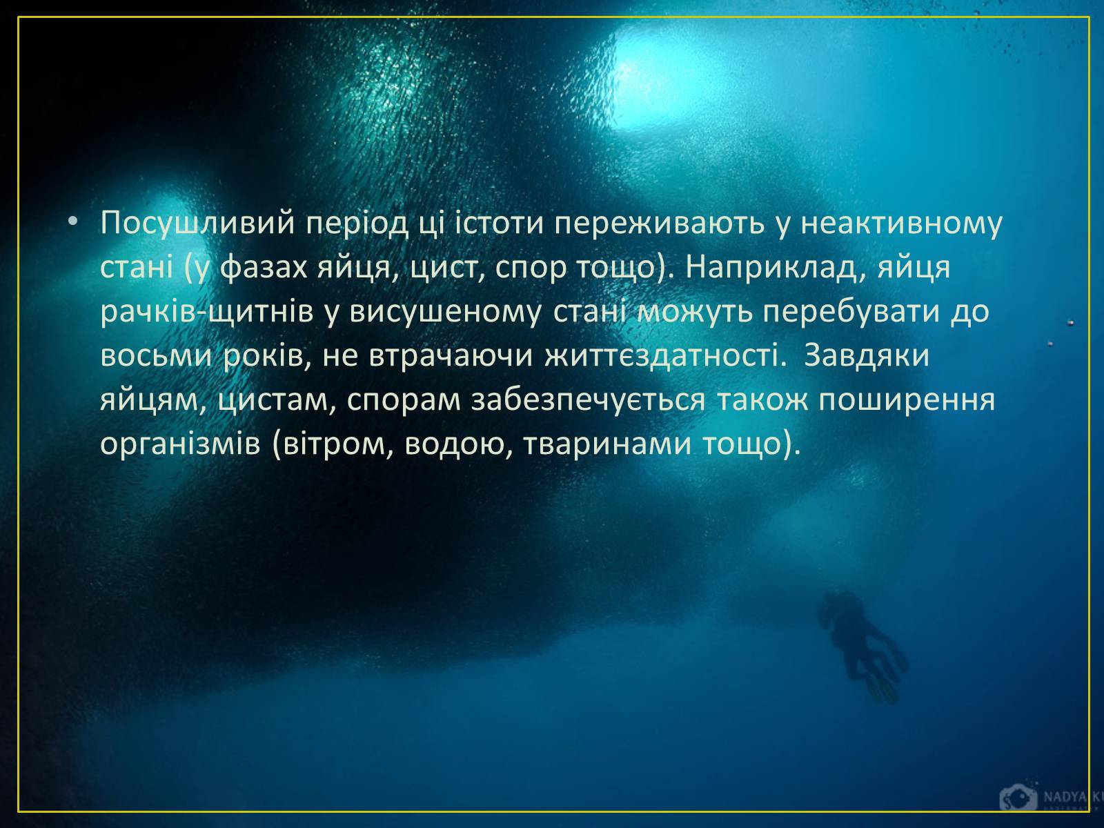 Презентація на тему «Адаптація гідробіонтів до пересихання вдойм» - Слайд #7 Презентація на тему «Адаптація гідробіонтів до пересихання вдойм» - Слайд #7