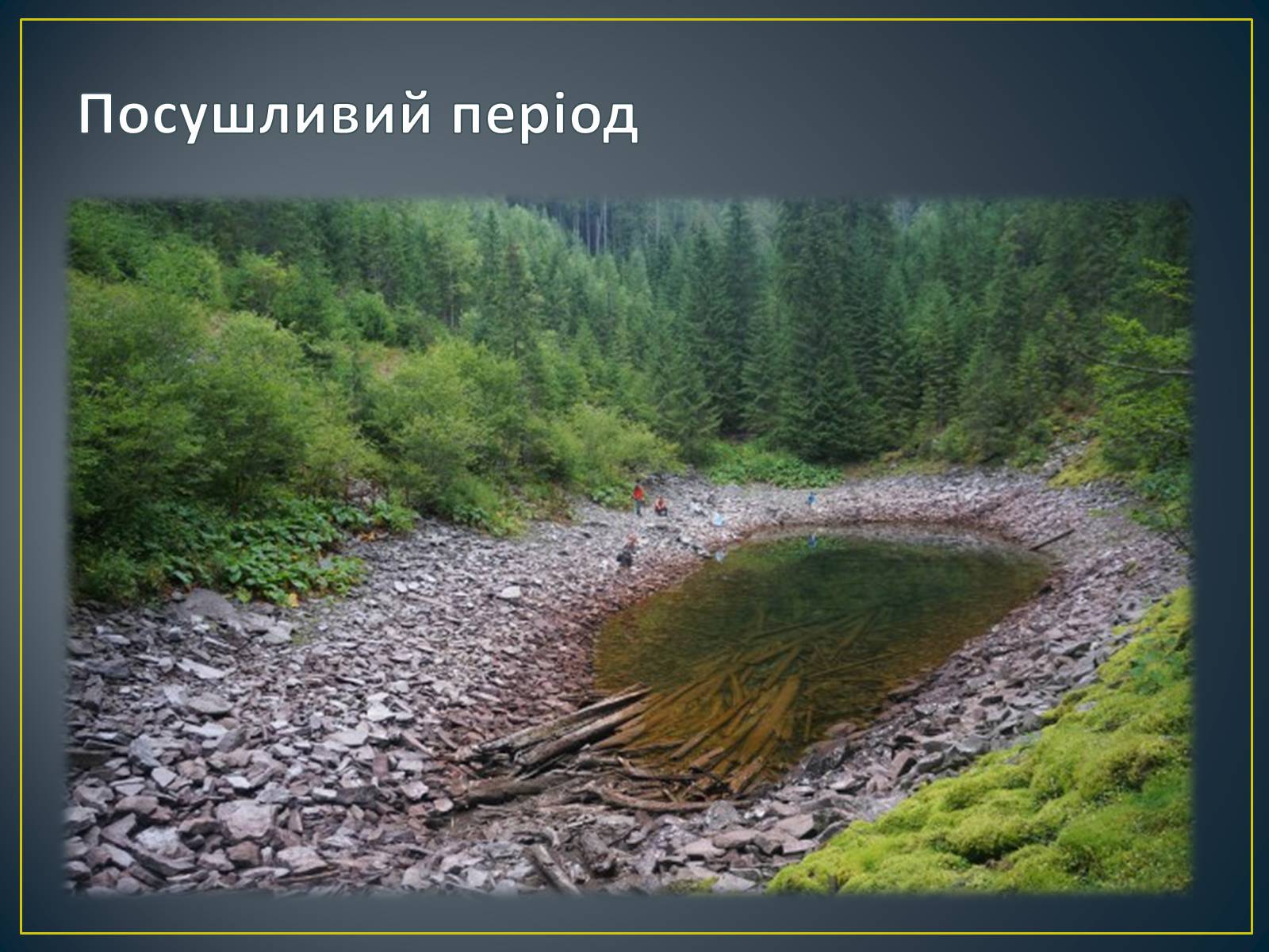 Презентація на тему «Адаптація гідробіонтів до пересихання вдойм» - Слайд #8 Презентація на тему «Адаптація гідробіонтів до пересихання вдойм» - Слайд #8