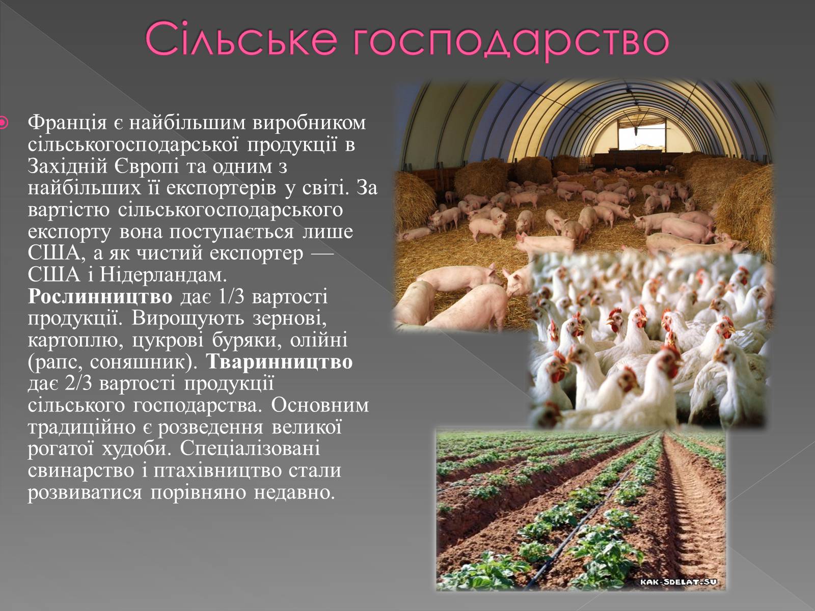 Презентація на тему «Франція» (варіант 28) - Слайд #6 Презентація на тему «Франція» (варіант 28) - Слайд #6