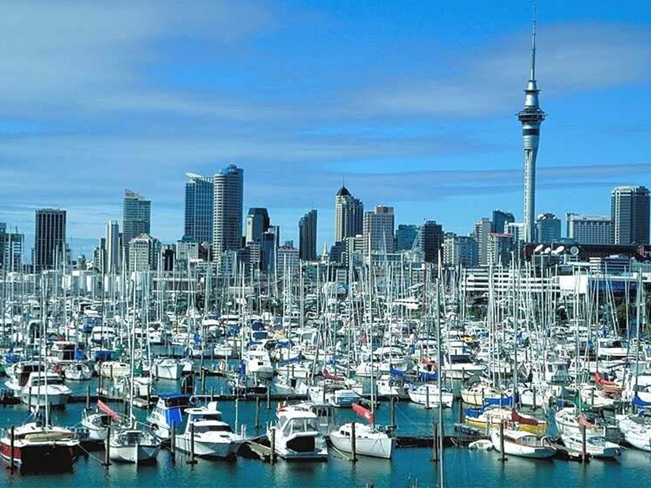 Презентація на тему «Population of Wellington» - Слайд #11 Презентація на тему «Population of Wellington» - Слайд #11
