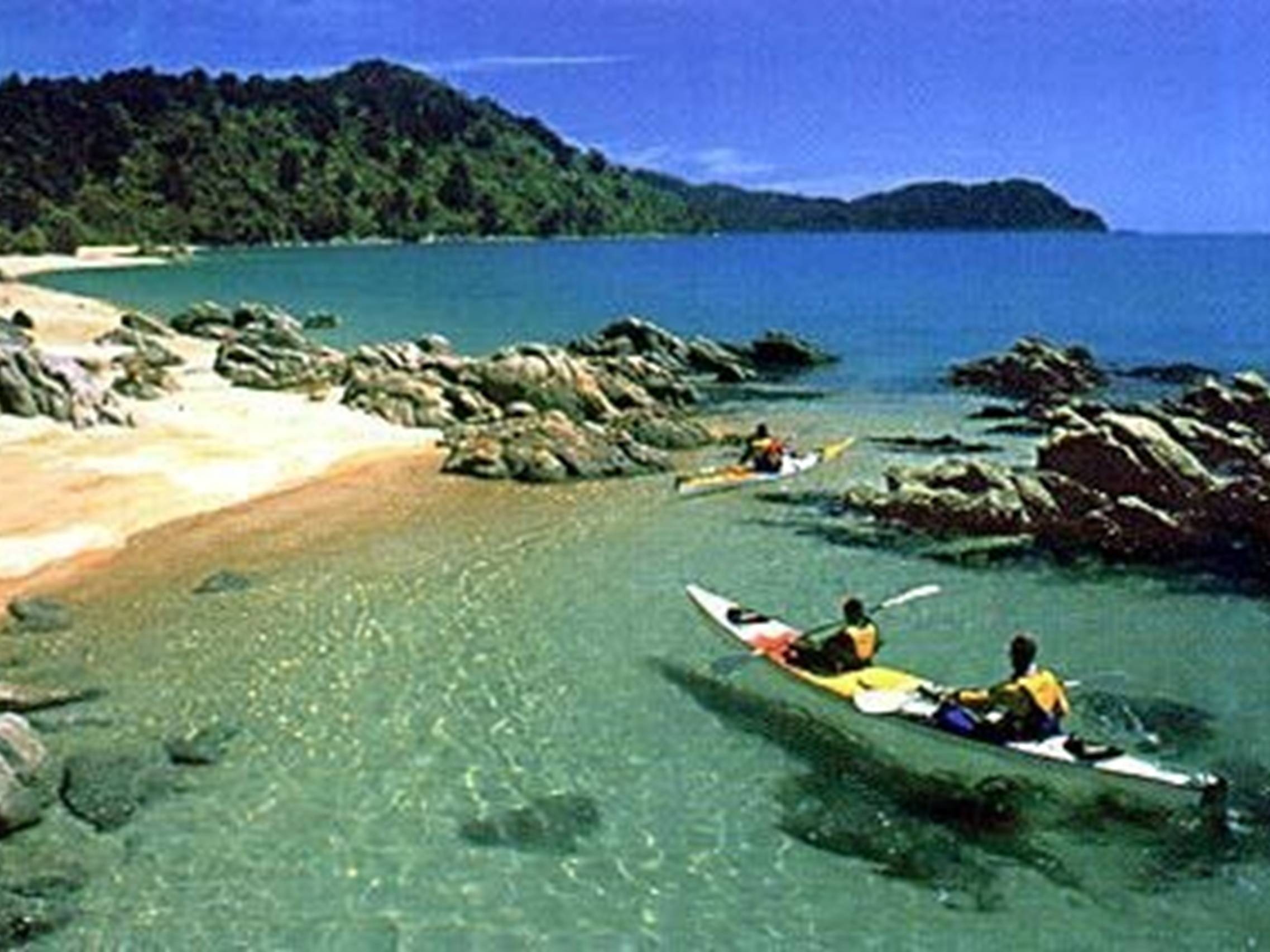 Презентація на тему «Population of Wellington» - Слайд #12 Презентація на тему «Population of Wellington» - Слайд #12
