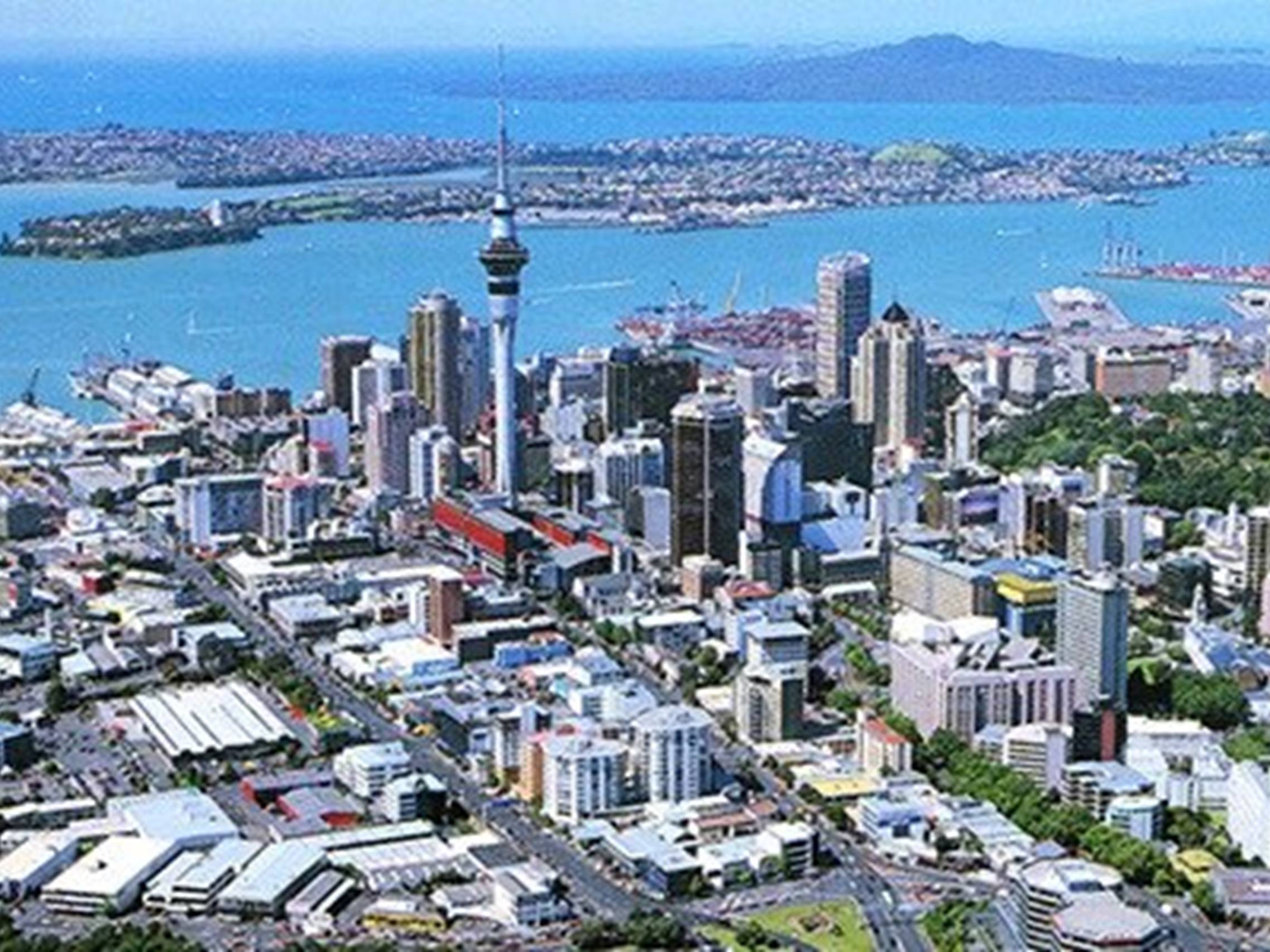 Презентація на тему «Population of Wellington» - Слайд #13 Презентація на тему «Population of Wellington» - Слайд #13