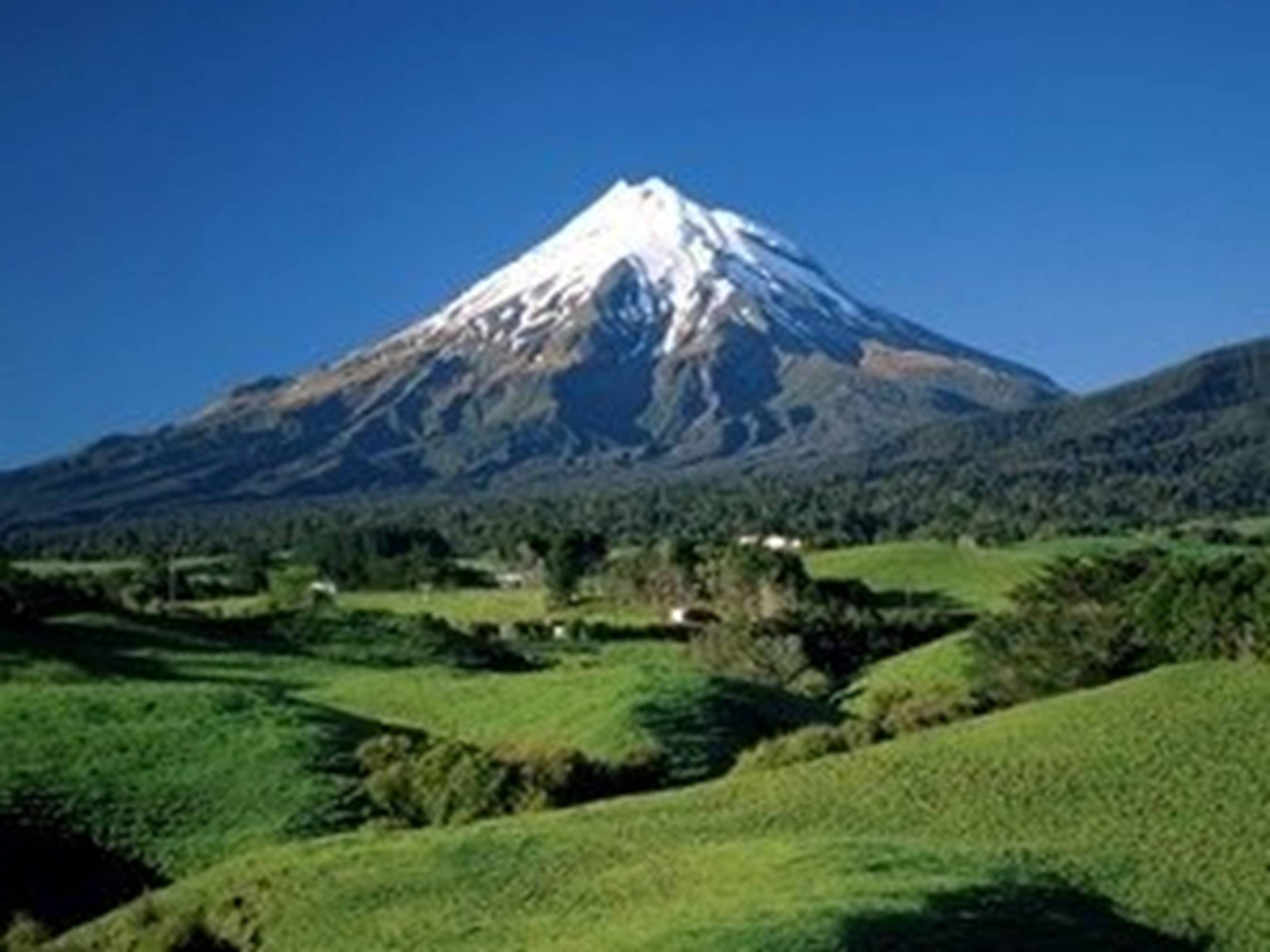 Презентація на тему «Population of Wellington» - Слайд #14 Презентація на тему «Population of Wellington» - Слайд #14