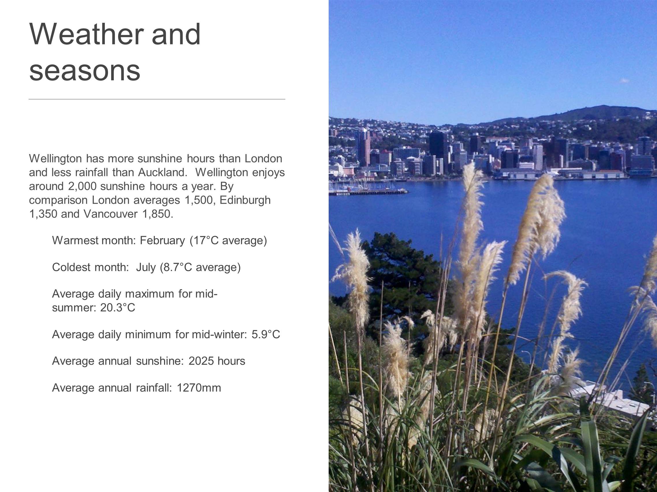 Презентація на тему «Population of Wellington» - Слайд #7 Презентація на тему «Population of Wellington» - Слайд #7