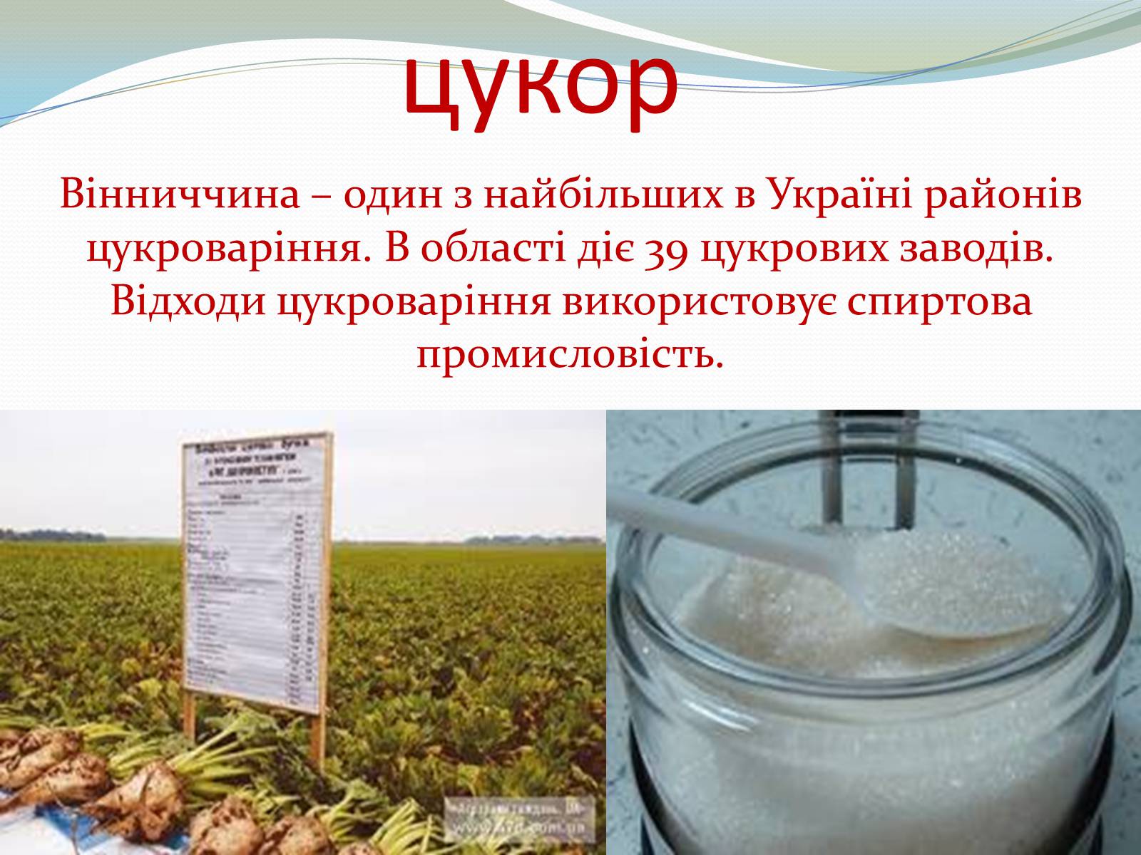Презентація на тему «Вінницька Область» - Слайд #12 Презентація на тему «Вінницька Область» - Слайд #12