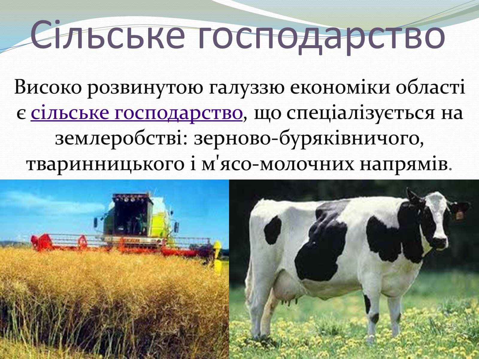 Презентація на тему «Вінницька Область» - Слайд #15 Презентація на тему «Вінницька Область» - Слайд #15