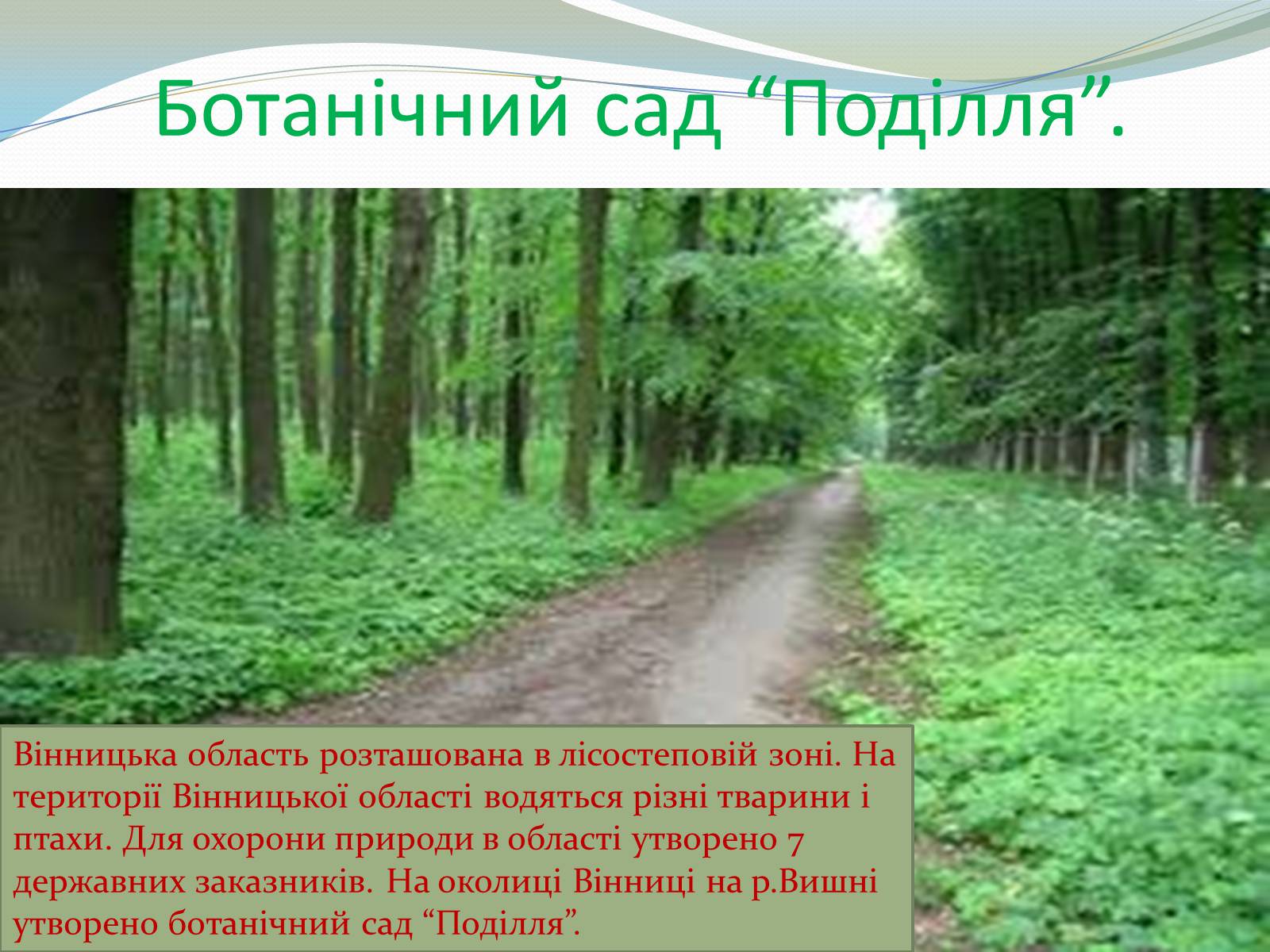 Презентація на тему «Вінницька Область» - Слайд #8 Презентація на тему «Вінницька Область» - Слайд #8