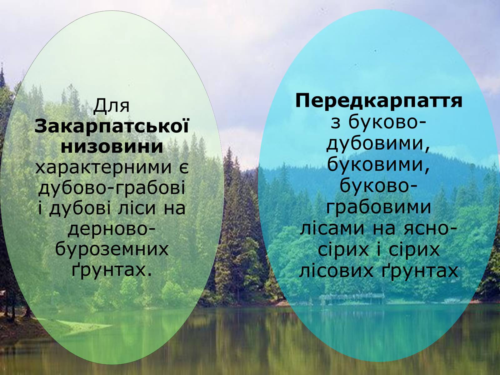 Презентація на тему «Українські Карпати» (варіант 4) - Слайд #9 Презентація на тему «Українські Карпати» (варіант 4) - Слайд #9