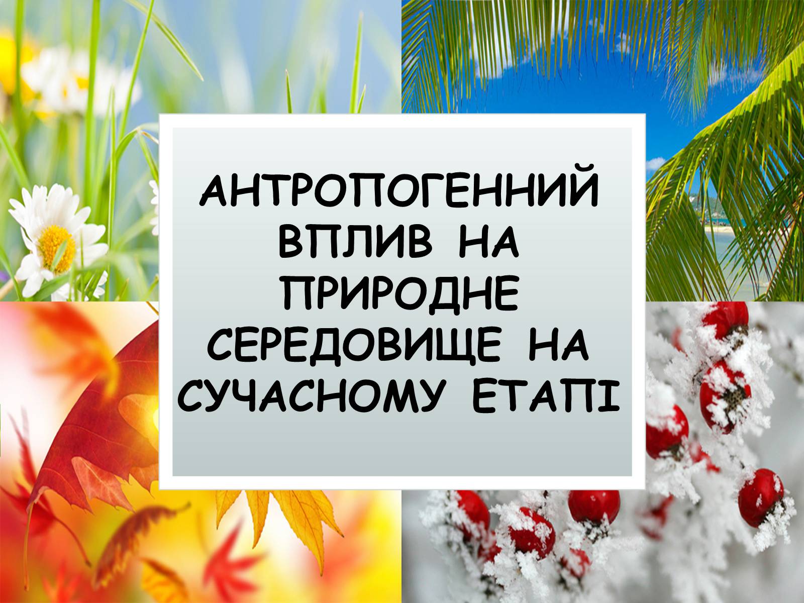 Презентація на тему «Антропогенний вплив на природне середовище на сучасному етапі» - Слайд #1 Презентація на тему «Антропогенний вплив на природне середовище на сучасному етапі» - Слайд #1