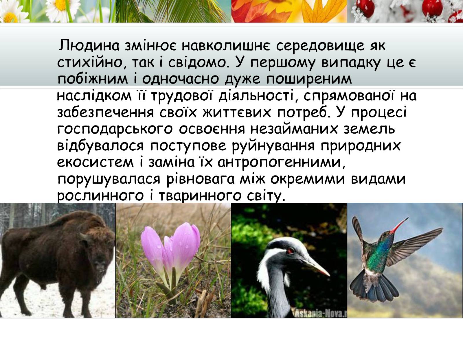 Презентація на тему «Антропогенний вплив на природне середовище на сучасному етапі» - Слайд #2 Презентація на тему «Антропогенний вплив на природне середовище на сучасному етапі» - Слайд #2