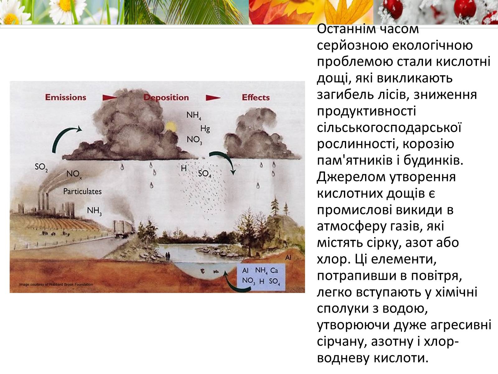Презентація на тему «Антропогенний вплив на природне середовище на сучасному етапі» - Слайд #5 Презентація на тему «Антропогенний вплив на природне середовище на сучасному етапі» - Слайд #5