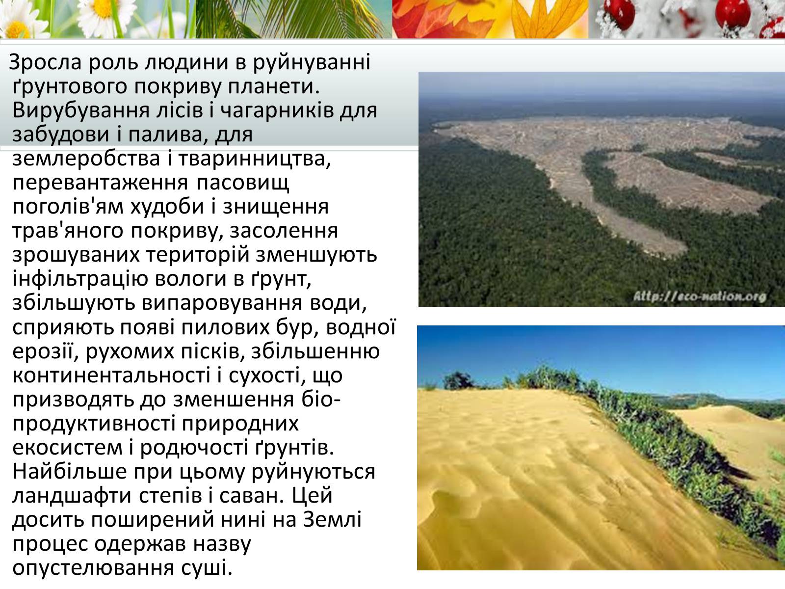Презентація на тему «Антропогенний вплив на природне середовище на сучасному етапі» - Слайд #6 Презентація на тему «Антропогенний вплив на природне середовище на сучасному етапі» - Слайд #6