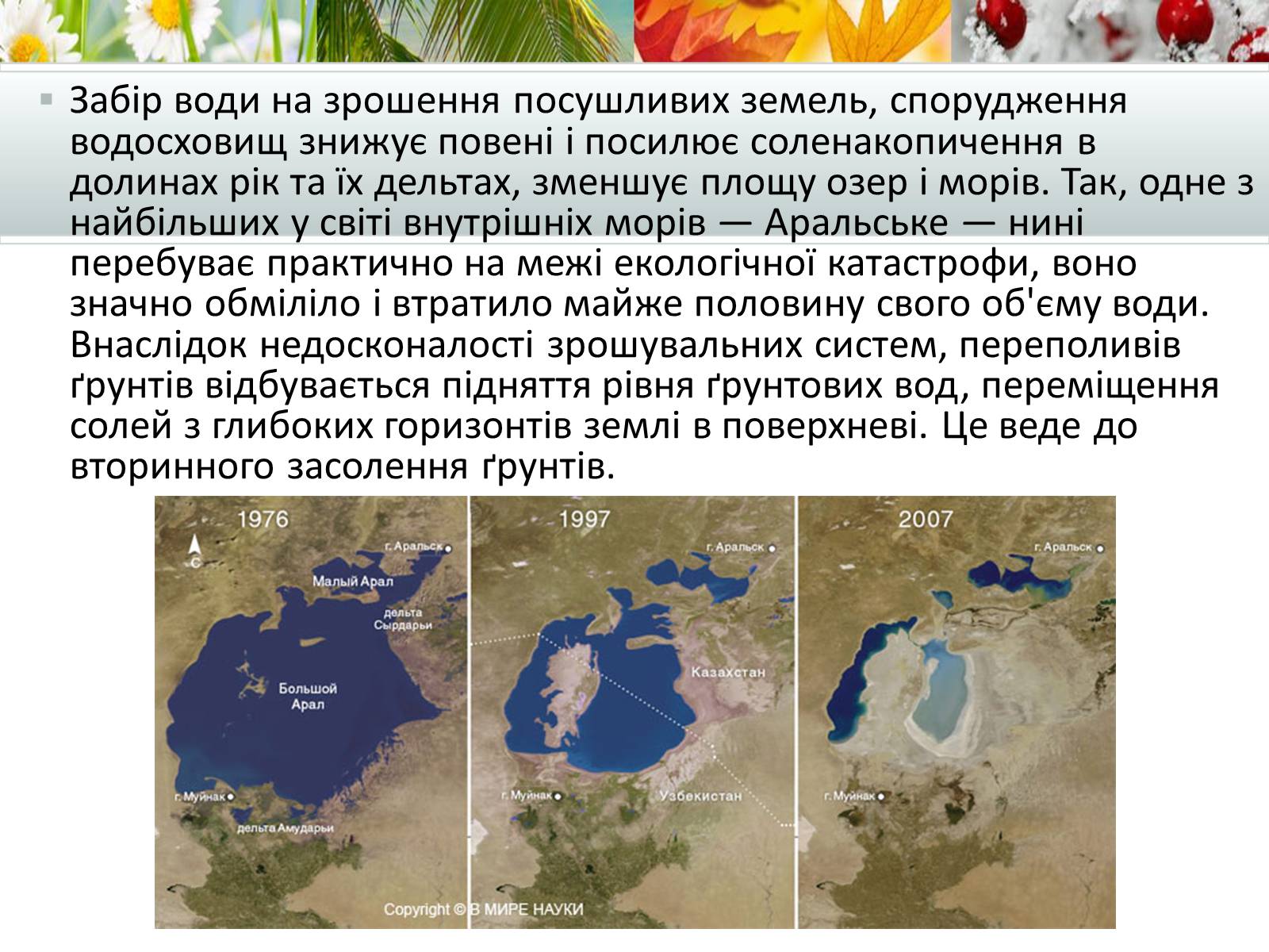 Презентація на тему «Антропогенний вплив на природне середовище на сучасному етапі» - Слайд #7 Презентація на тему «Антропогенний вплив на природне середовище на сучасному етапі» - Слайд #7