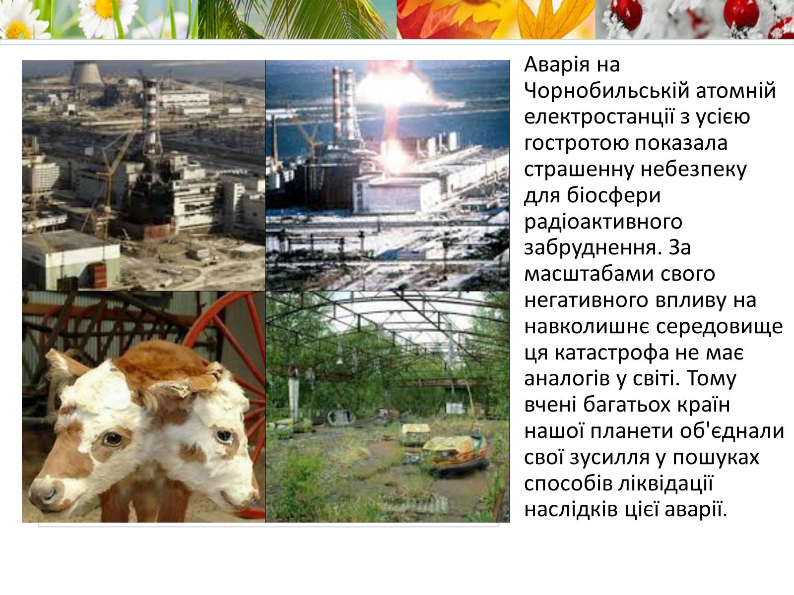 Презентація на тему «Антропогенний вплив на природне середовище на сучасному етапі» - Слайд #8 Презентація на тему «Антропогенний вплив на природне середовище на сучасному етапі» - Слайд #8