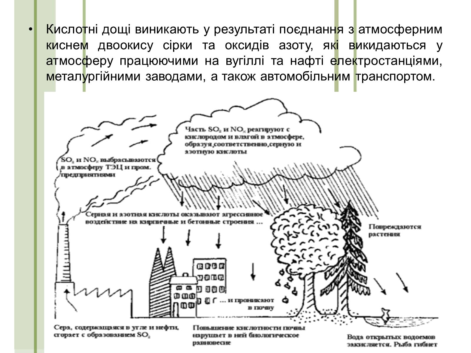 Презентація на тему «Кислотні дощі та азонові дири» - Слайд #5 Презентація на тему «Кислотні дощі та азонові дири» - Слайд #5