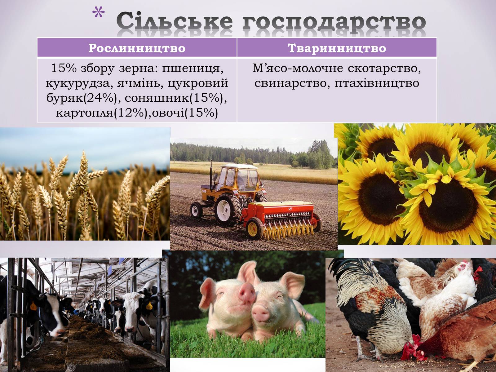 Презентація на тему «Північно-Східний економічний район» (варіант 3) - Слайд #28 Презентація на тему «Північно-Східний економічний район» (варіант 3) - Слайд #28