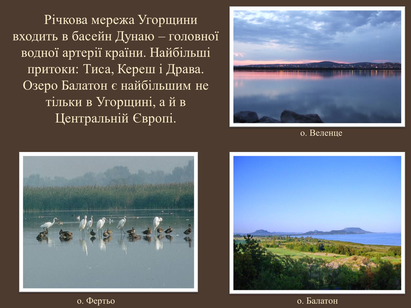 Презентація на тему «Загальна економіко-географічна характеристика Угорщини» - Слайд #5 Презентація на тему «Загальна економіко-географічна характеристика Угорщини» - Слайд #5