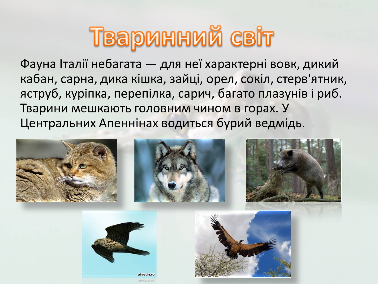 Презентація на тему «Італія» (варіант 37) - Слайд #9 Презентація на тему «Італія» (варіант 37) - Слайд #9
