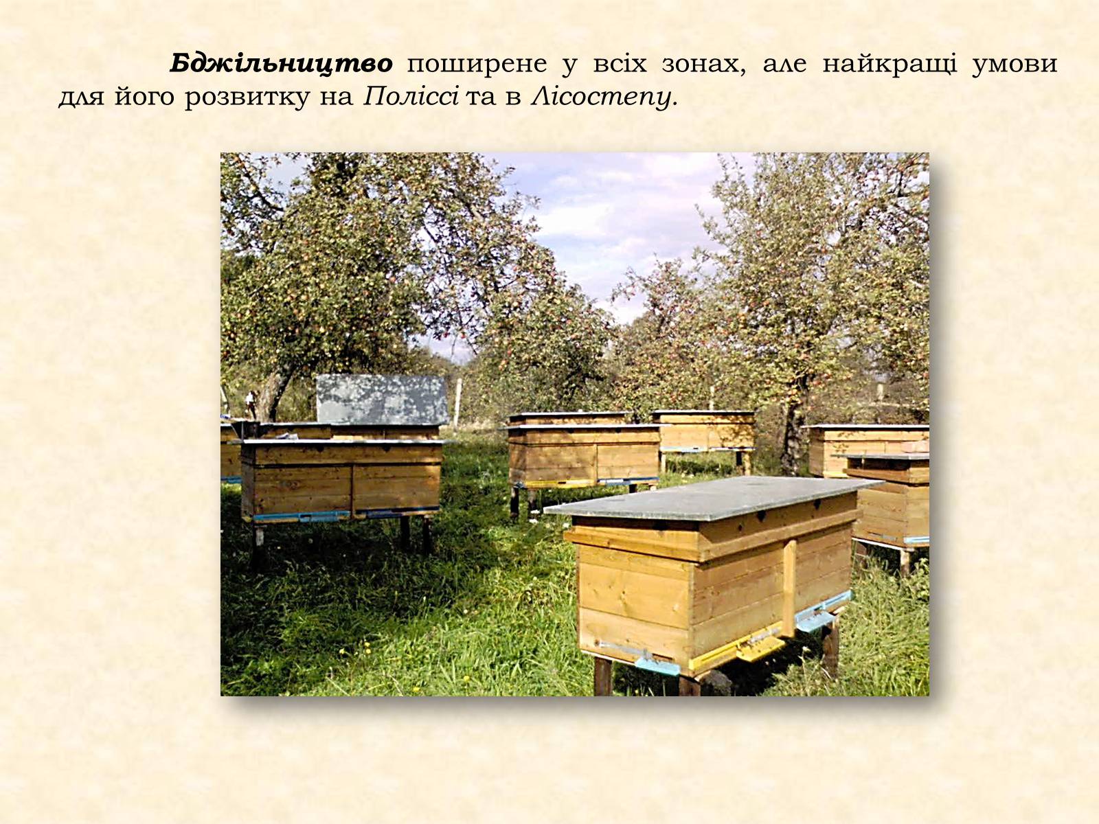 Презентація на тему «Тваринництво» (варіант 1) - Слайд #12 Презентація на тему «Тваринництво» (варіант 1) - Слайд #12