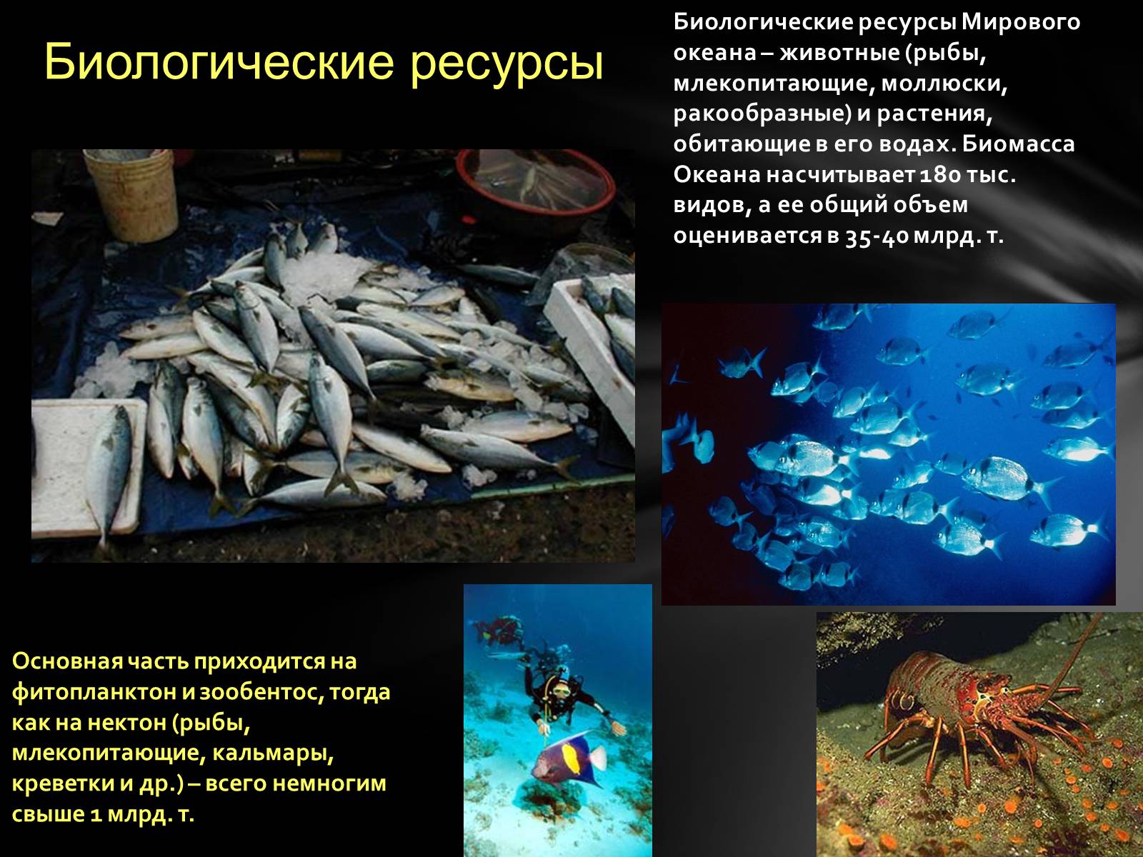 Презентація на тему «РЕСУРСЫ МИРОВОГО ОКЕАНА» - Слайд #11 Презентація на тему «РЕСУРСЫ МИРОВОГО ОКЕАНА» - Слайд #11