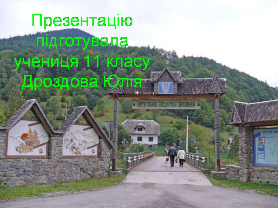Презентація на тему «Карпатський біосферний заповідник» (варіант 4) - Слайд #10 Презентація на тему «Карпатський біосферний заповідник» (варіант 4) - Слайд #10