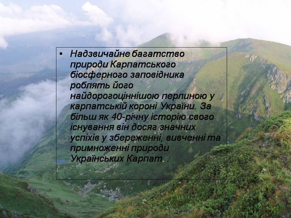 Презентація на тему «Карпатський біосферний заповідник» (варіант 4) - Слайд #7 Презентація на тему «Карпатський біосферний заповідник» (варіант 4) - Слайд #7