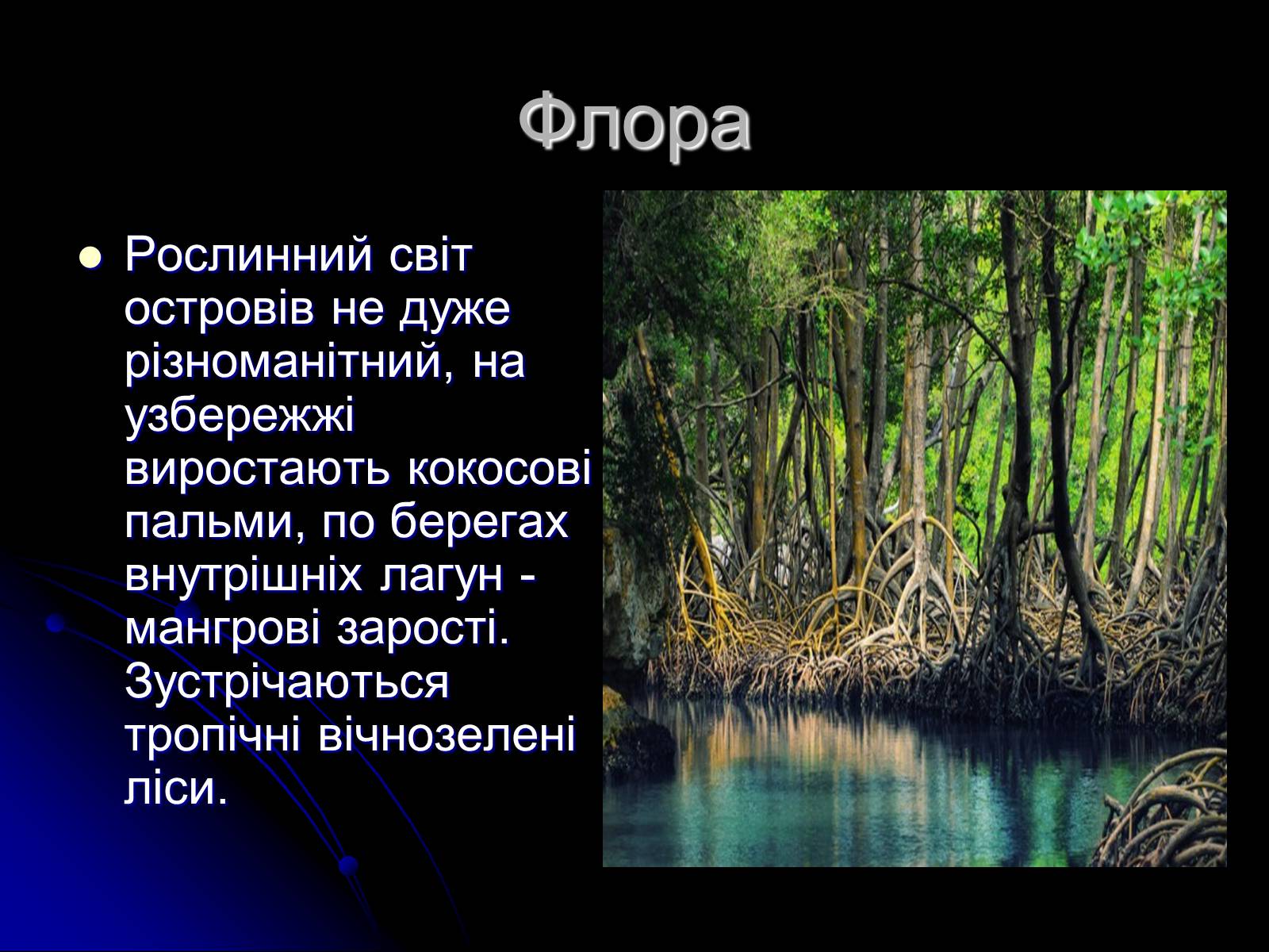 Презентація на тему «Маршалові острови» - Слайд #7 Презентація на тему «Маршалові острови» - Слайд #7