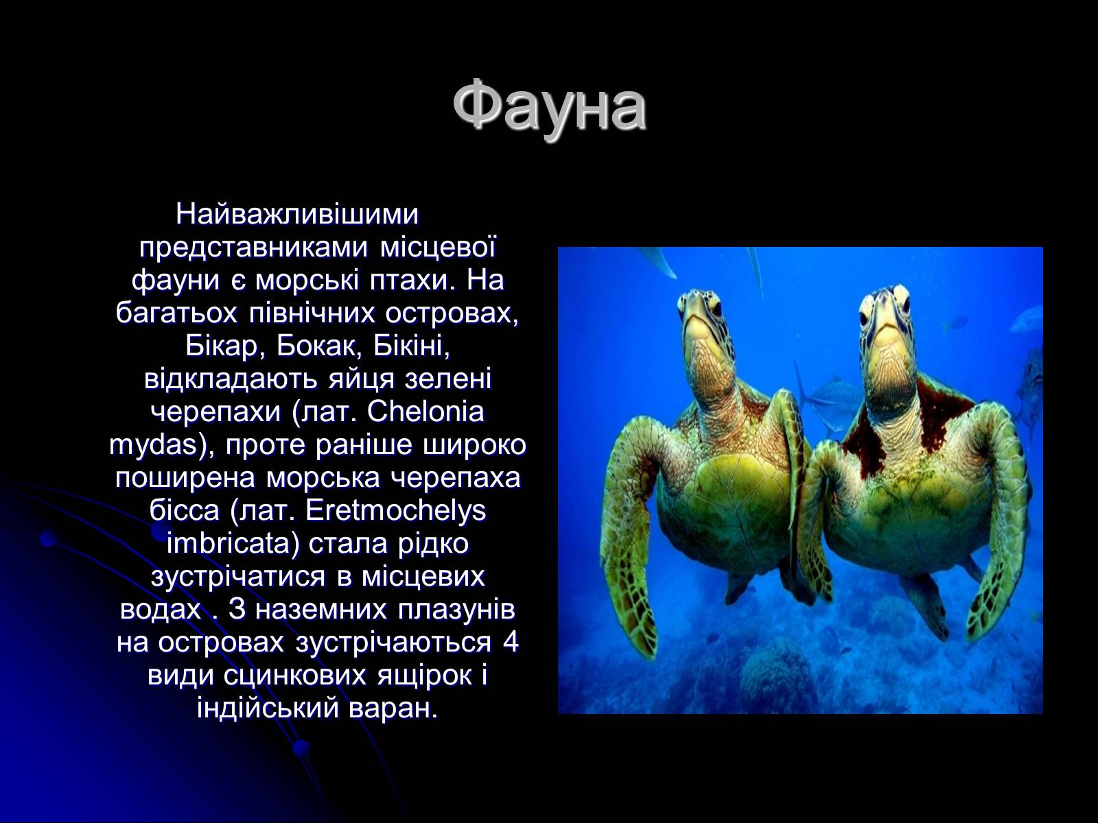 Презентація на тему «Маршалові острови» - Слайд #8 Презентація на тему «Маршалові острови» - Слайд #8