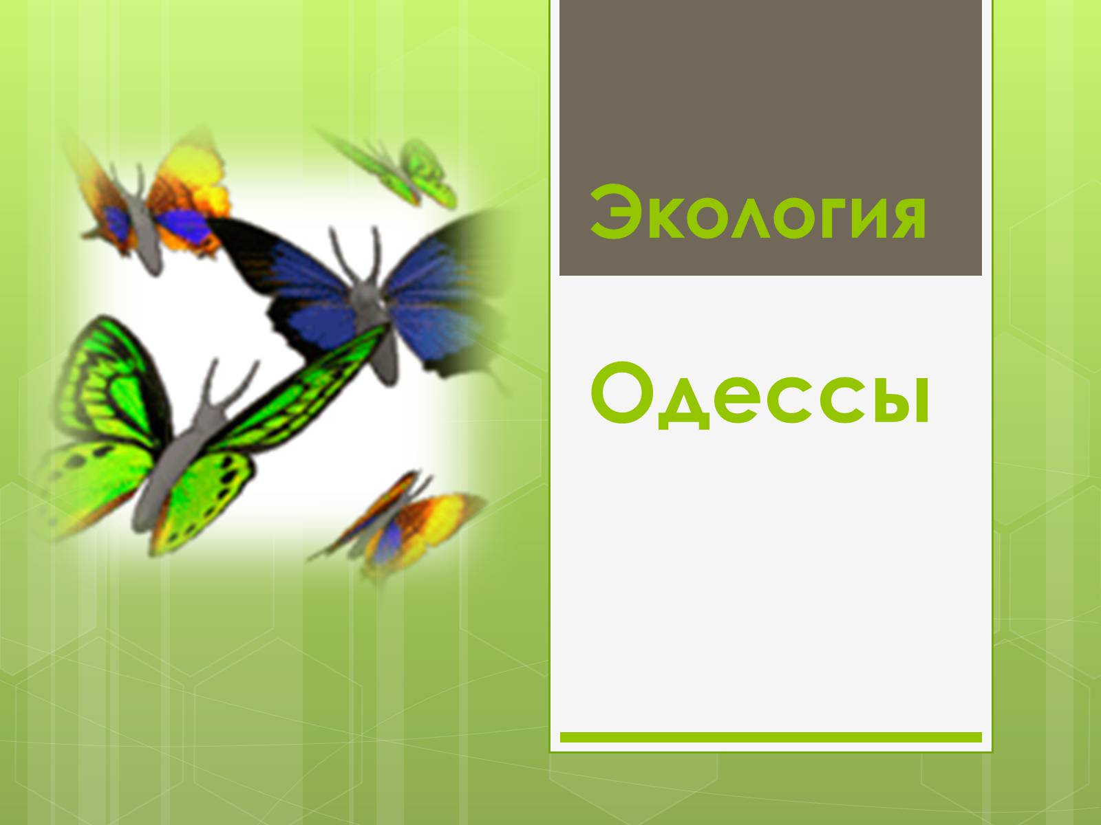Презентація на тему «Экология Одессы» - Слайд #1 Презентація на тему «Экология Одессы» - Слайд #1