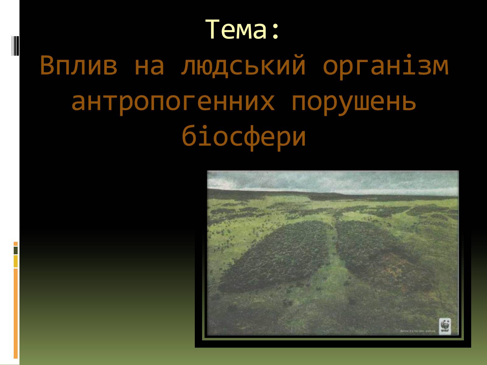 Презентація на тему «Вплив на людський організм антропогенних порушень біосфери» - Слайд #1 Презентація на тему «Вплив на людський організм антропогенних порушень біосфери» - Слайд #1