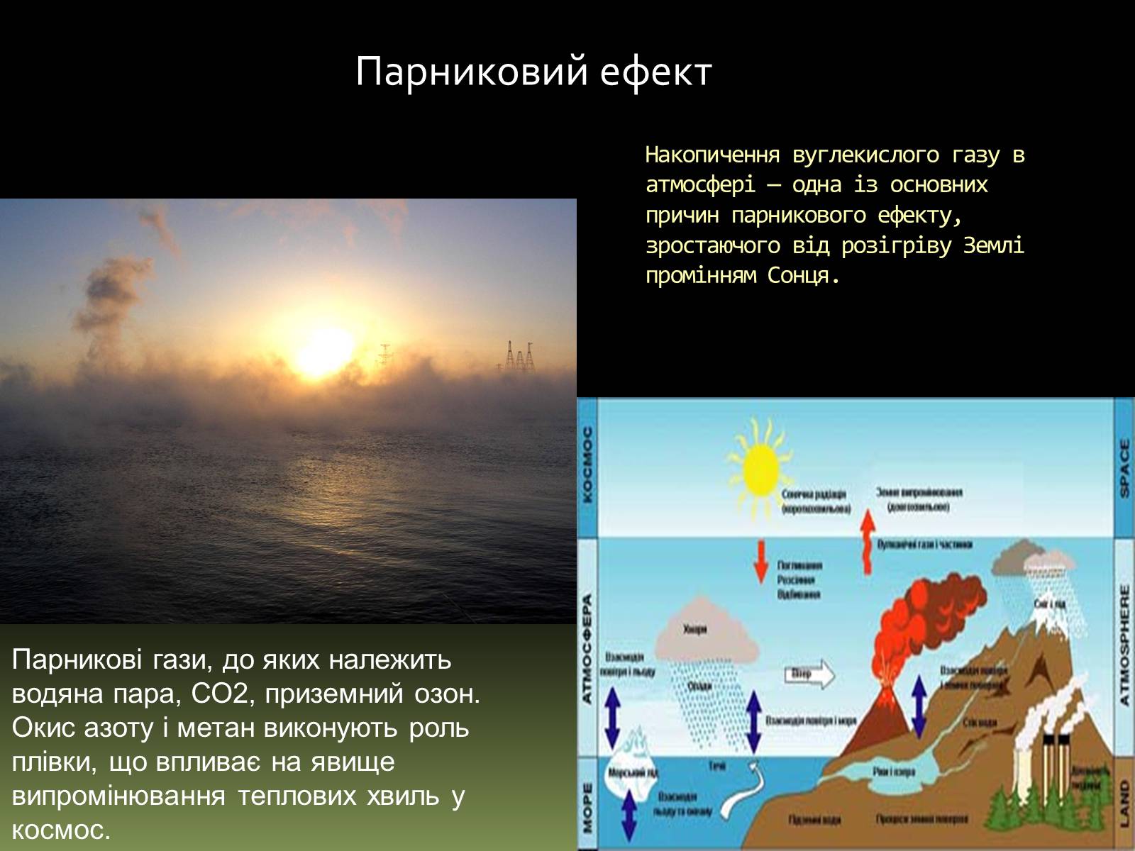 Презентація на тему «Вплив на людський організм антропогенних порушень біосфери» - Слайд #11 Презентація на тему «Вплив на людський організм антропогенних порушень біосфери» - Слайд #11