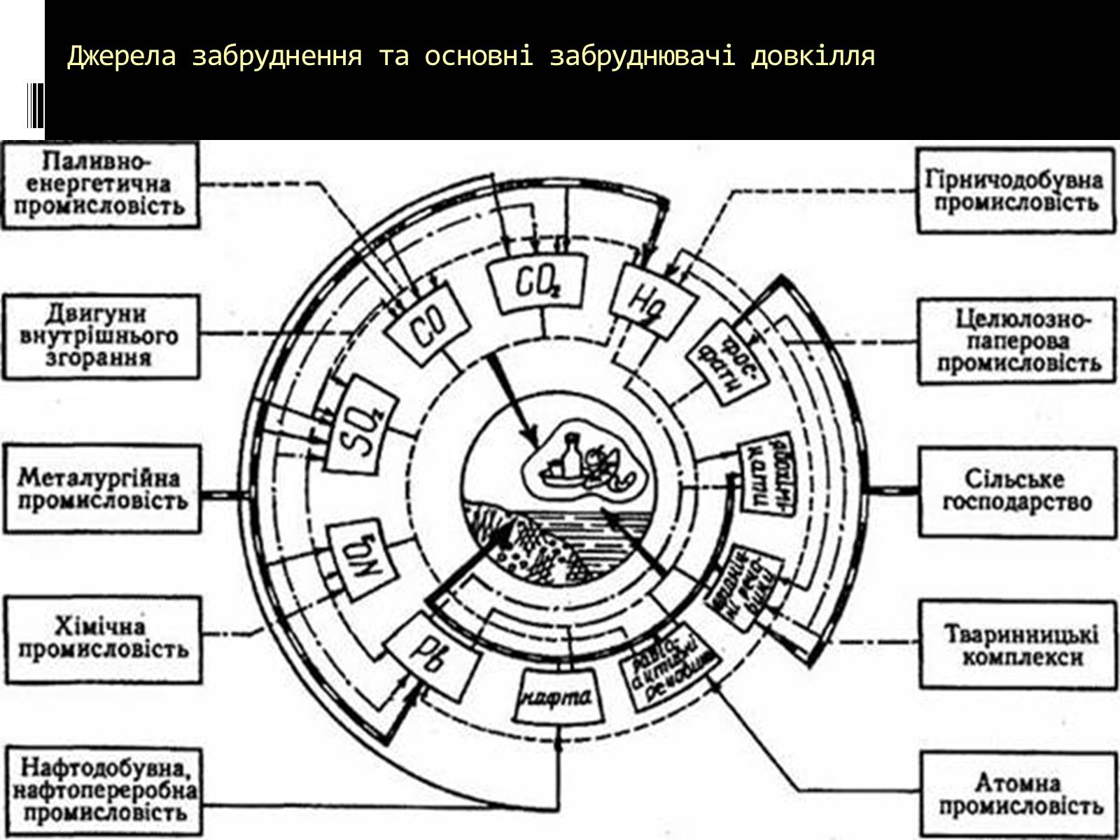 Презентація на тему «Вплив на людський організм антропогенних порушень біосфери» - Слайд #4 Презентація на тему «Вплив на людський організм антропогенних порушень біосфери» - Слайд #4