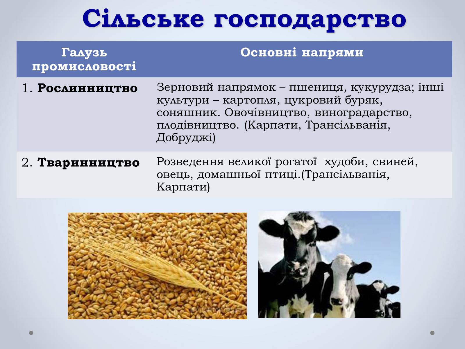 Презентація на тему «Держава Румунія» - Слайд #18 Презентація на тему «Держава Румунія» - Слайд #18