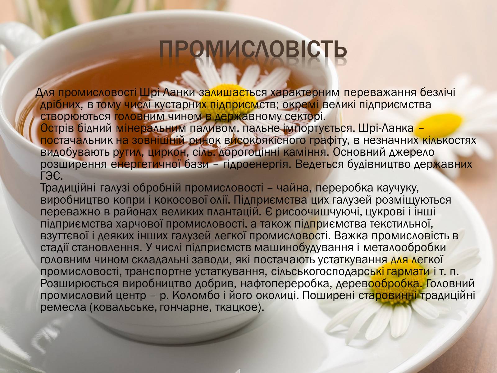 Презентація на тему «Шрі-Ланка» (варіант 2) - Слайд #9 Презентація на тему «Шрі-Ланка» (варіант 2) - Слайд #9