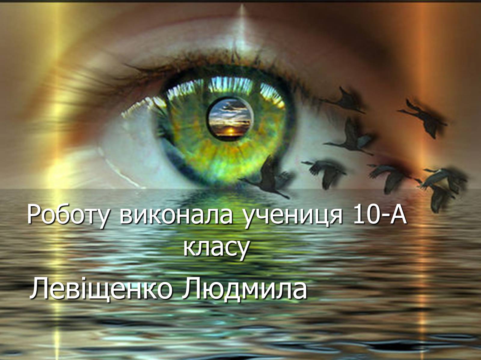 Презентація на тему «Глобальна демографічна проблема світу» - Слайд #11 Презентація на тему «Глобальна демографічна проблема світу» - Слайд #11