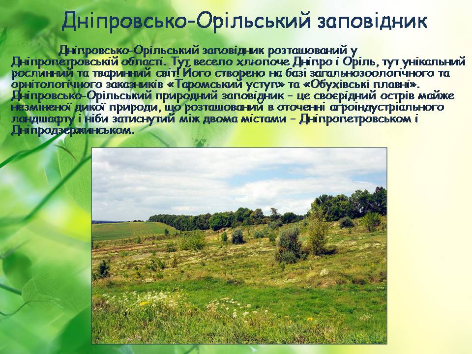 Презентація на тему «Заповідна мережа України» (варіант 8) - Слайд #11 Презентація на тему «Заповідна мережа України» (варіант 8) - Слайд #11