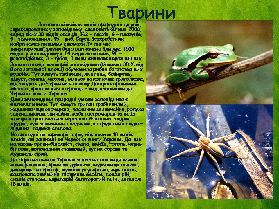 Презентація на тему «Заповідна мережа України» (варіант 8) - Слайд #14 Презентація на тему «Заповідна мережа України» (варіант 8) - Слайд #14