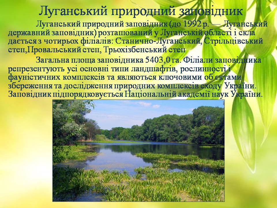 Презентація на тему «Заповідна мережа України» (варіант 8) - Слайд #30 Презентація на тему «Заповідна мережа України» (варіант 8) - Слайд #30