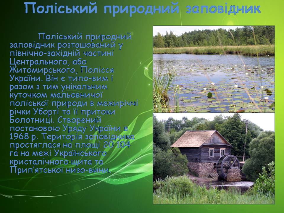 Презентація на тему «Заповідна мережа України» (варіант 8) - Слайд #33 Презентація на тему «Заповідна мережа України» (варіант 8) - Слайд #33
