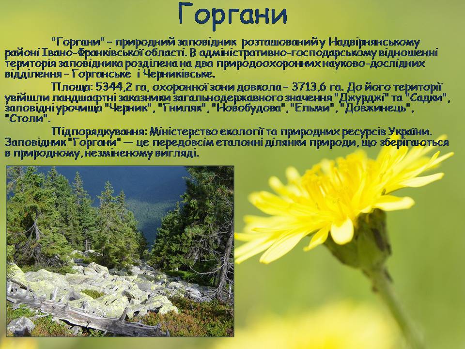 Презентація на тему «Заповідна мережа України» (варіант 8) - Слайд #8 Презентація на тему «Заповідна мережа України» (варіант 8) - Слайд #8