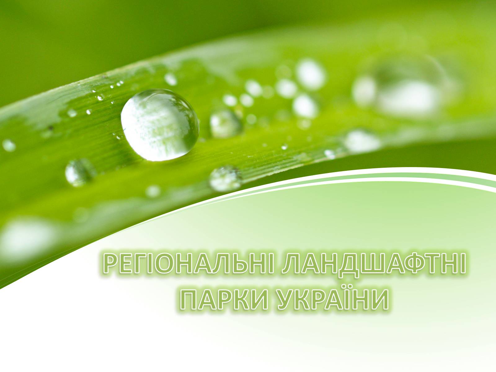 Презентація на тему «Ландшафтні парки України» (варіант 1) - Слайд #1 Презентація на тему «Ландшафтні парки України» (варіант 1) - Слайд #1