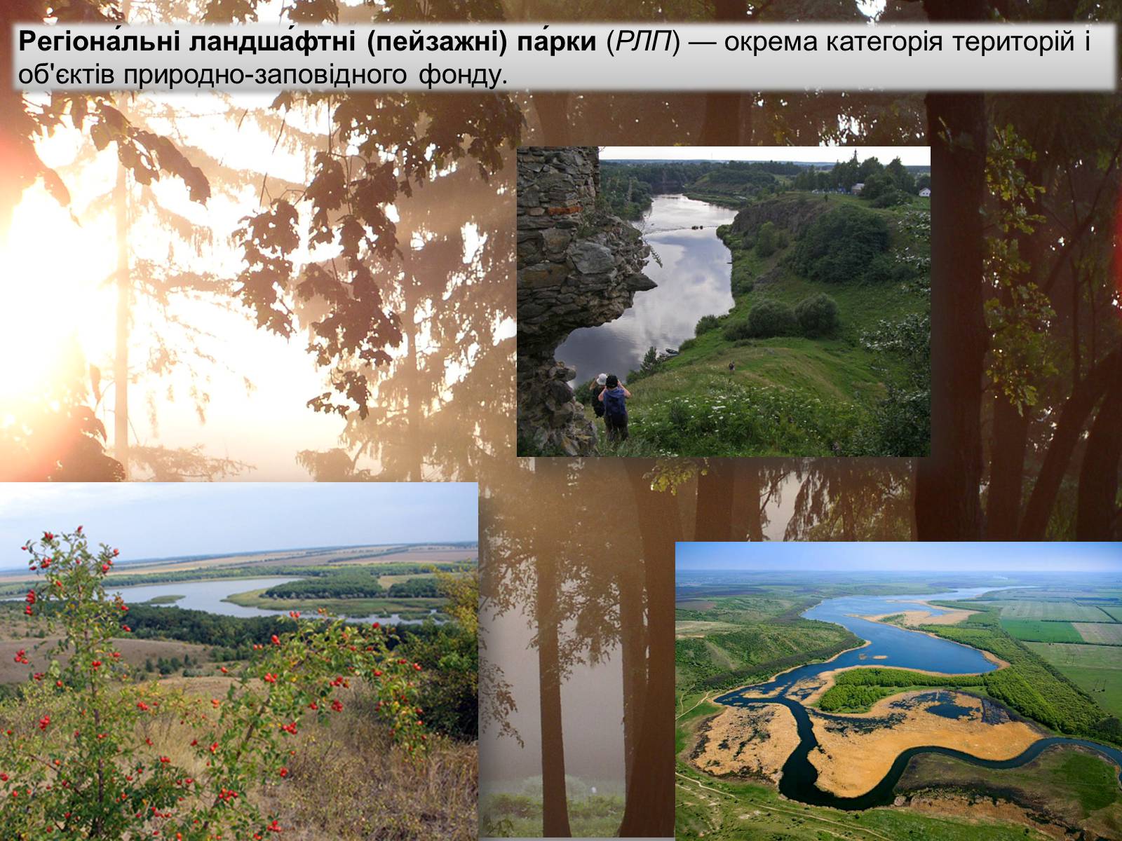 Презентація на тему «Ландшафтні парки України» (варіант 1) - Слайд #2 Презентація на тему «Ландшафтні парки України» (варіант 1) - Слайд #2