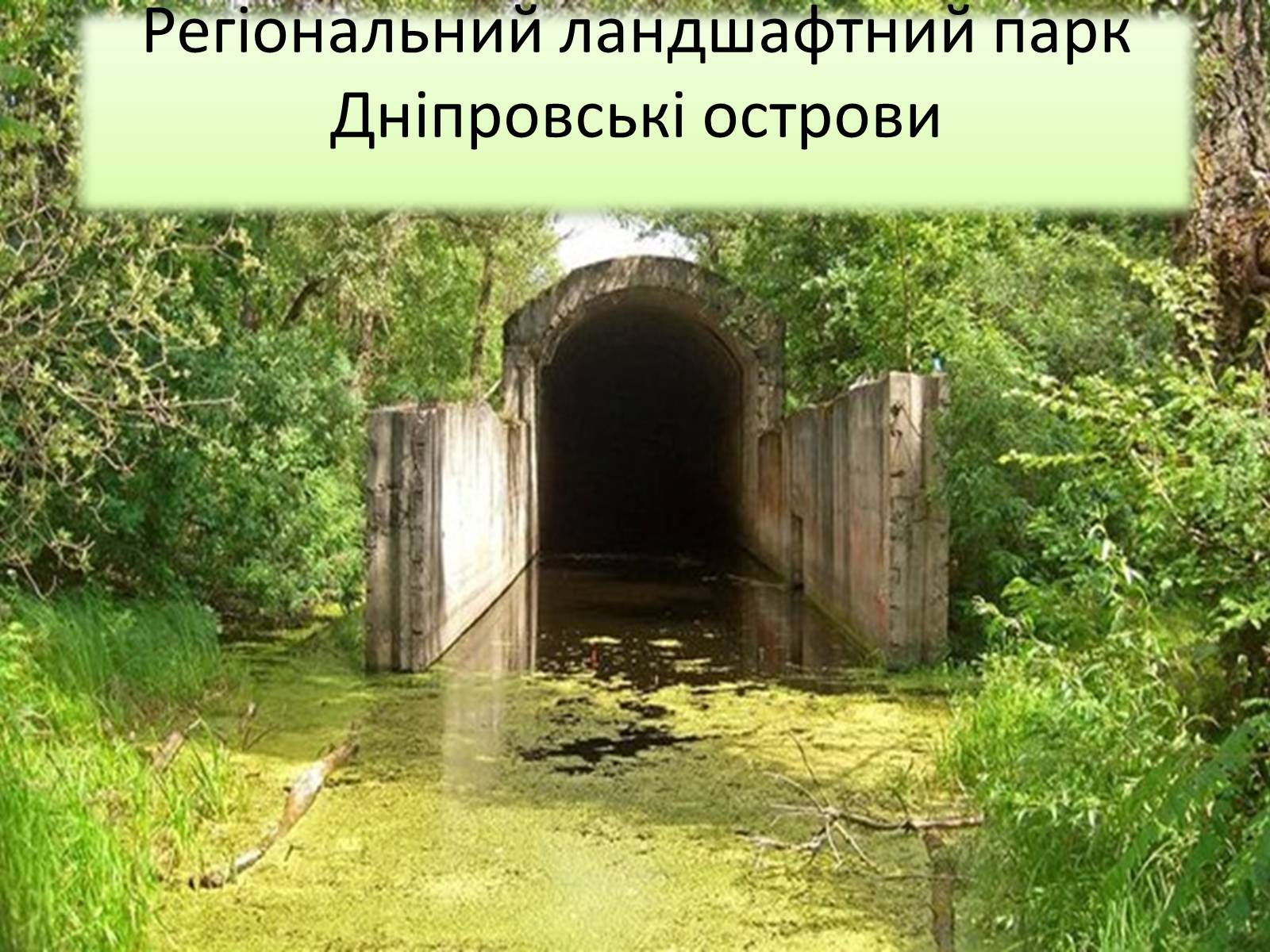 Презентація на тему «Ландшафтні парки України» (варіант 1) - Слайд #4 Презентація на тему «Ландшафтні парки України» (варіант 1) - Слайд #4